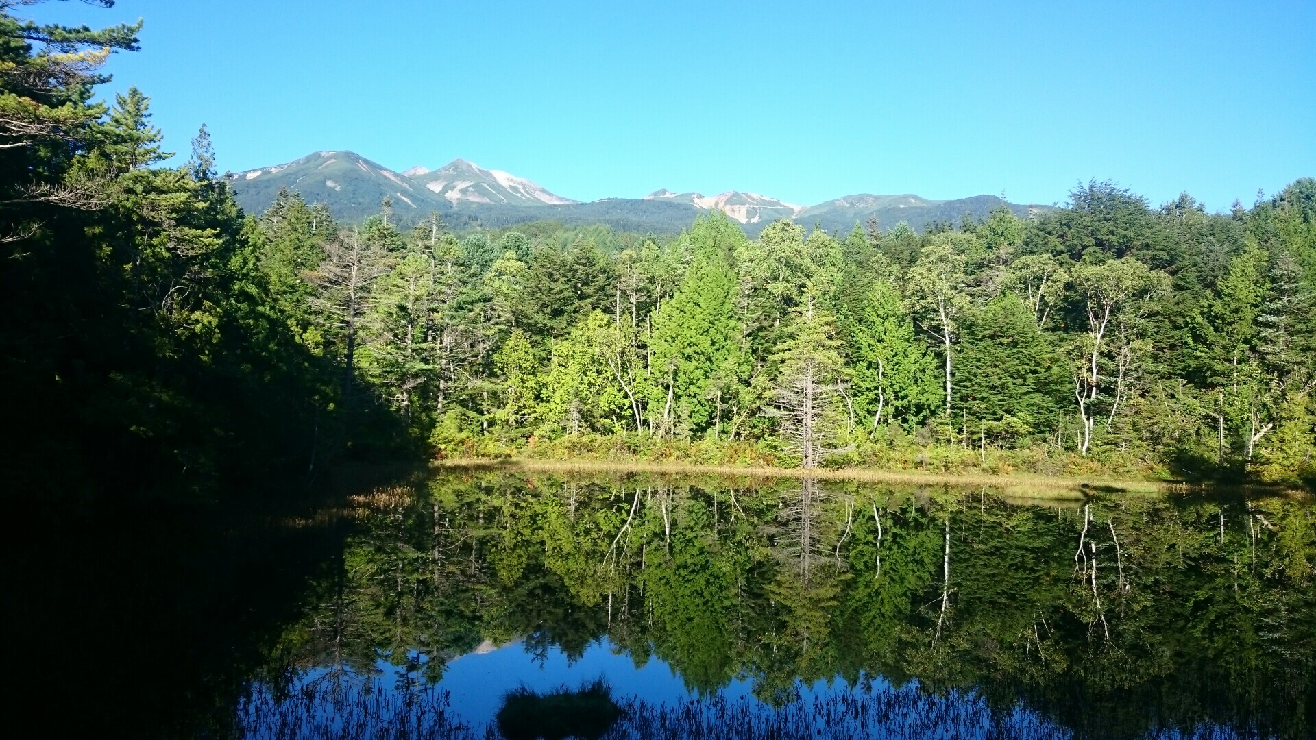 乗鞍高原 の牛留池や一ノ瀬園地をぶらり タカゾウさんの乗鞍岳の活動日記 Yamap ヤマップ