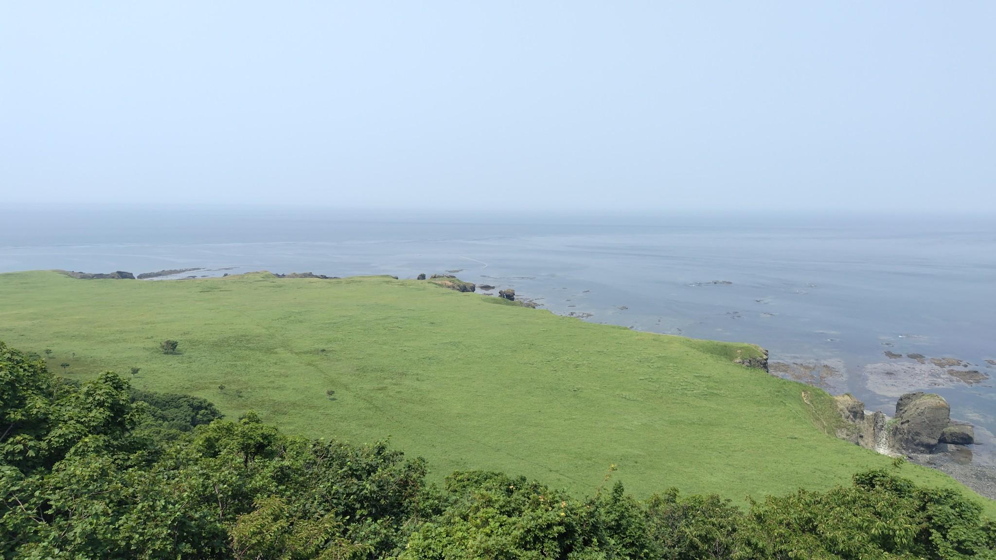 岬台地にいくつか見える筋は、ケモノ道。