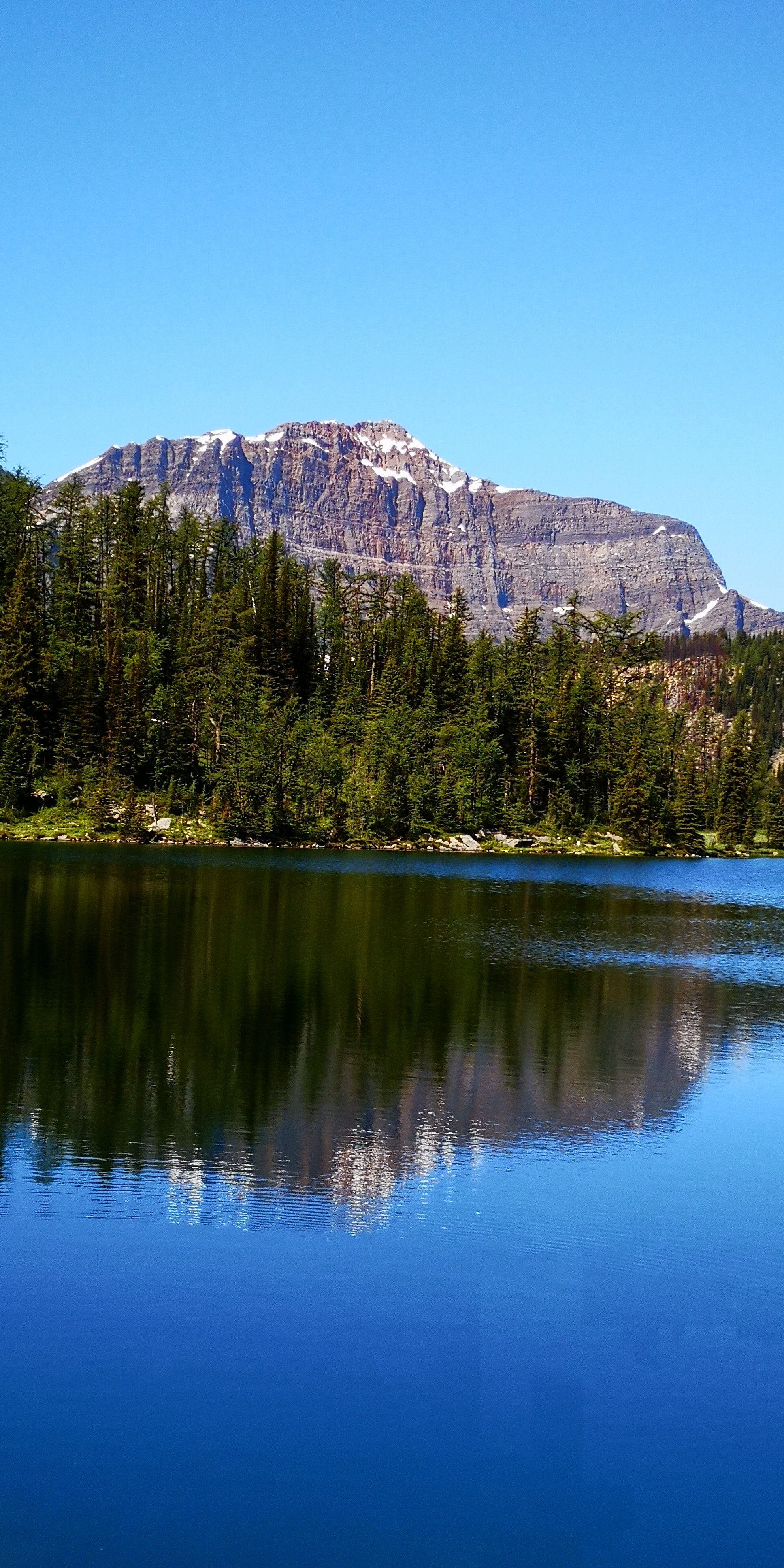 サンシャインメドウズ Keisさんのバンフの活動日記 Yamap ヤマップ