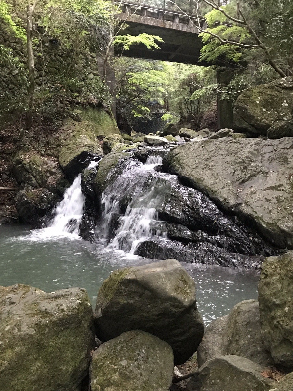初キャンプ 漆黒の森 渓流園地 ひっふーさんの登山の活動データ Yamap ヤマップ