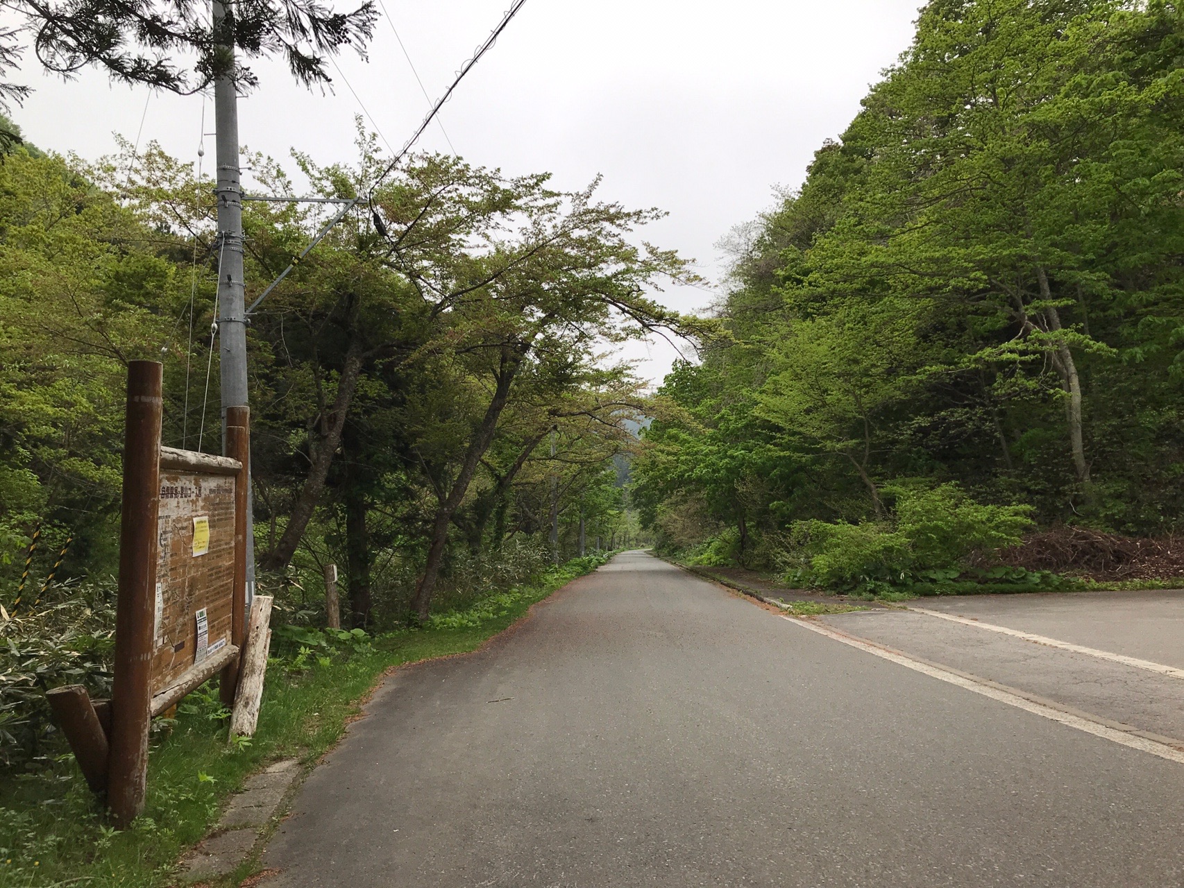 梵珠山東尾根からの馬ノ神山縦走 05 16 ぼんねっとさんの梵珠山の活動データ Yamap ヤマップ