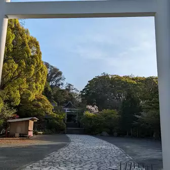鎌倉宮です。早朝のこのひんやりした空気が、心を厳かにさせてくれます。
