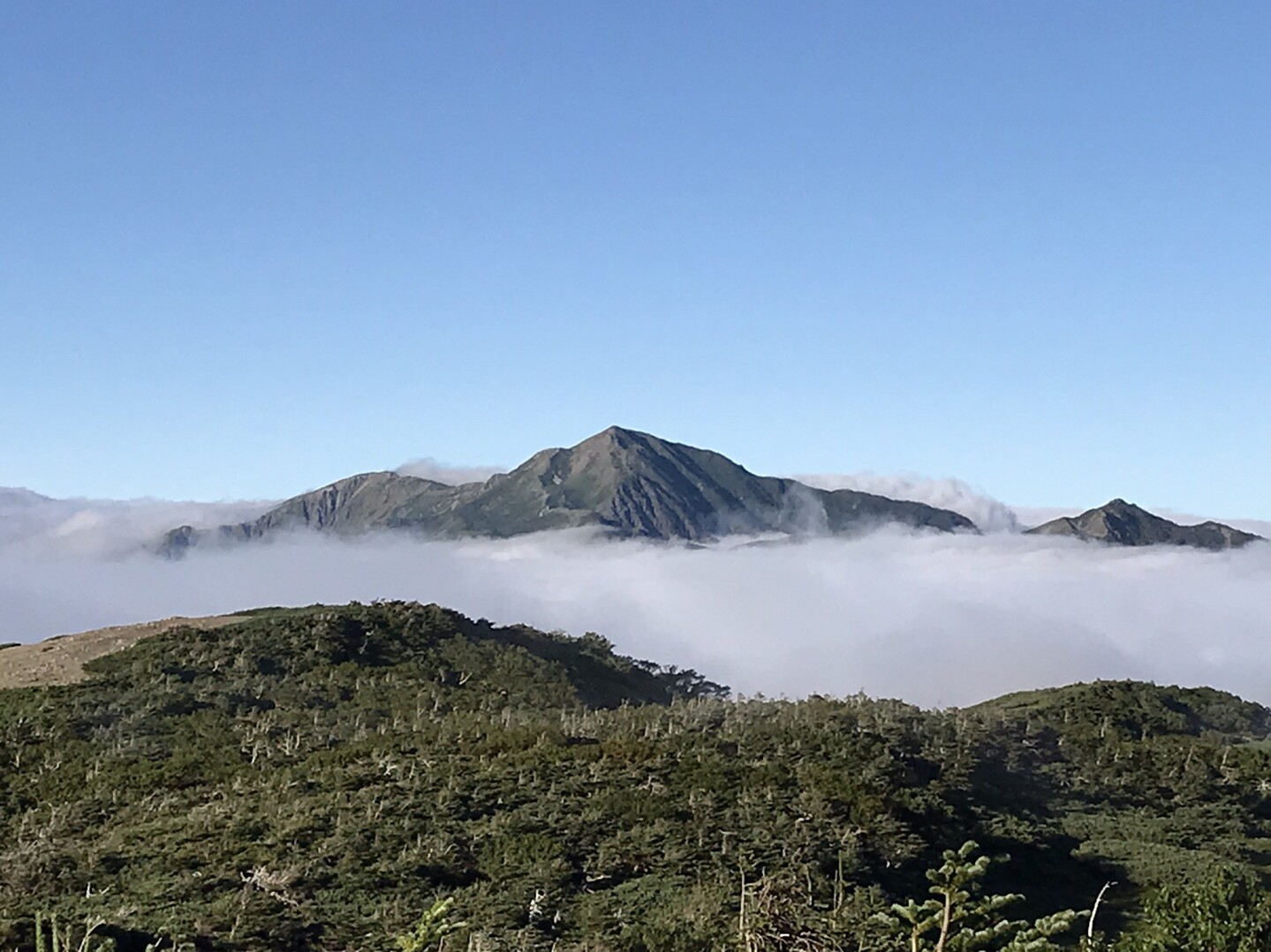 光岳⛰↔︎易老度