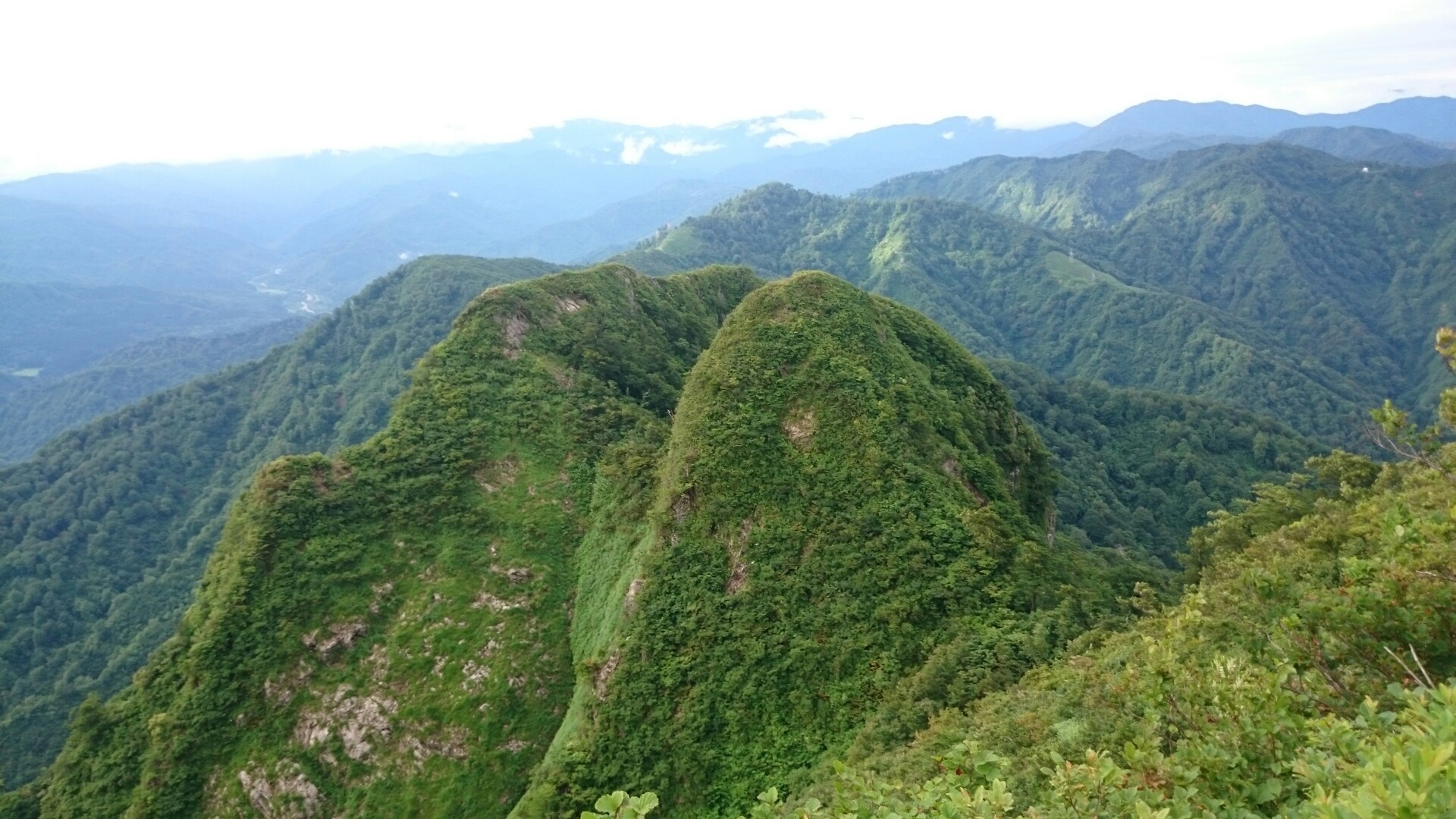 摩耶山 山形県 越沢から 19 07 15 ひろさんの摩耶山 山形県鶴岡市 の活動データ Yamap ヤマップ