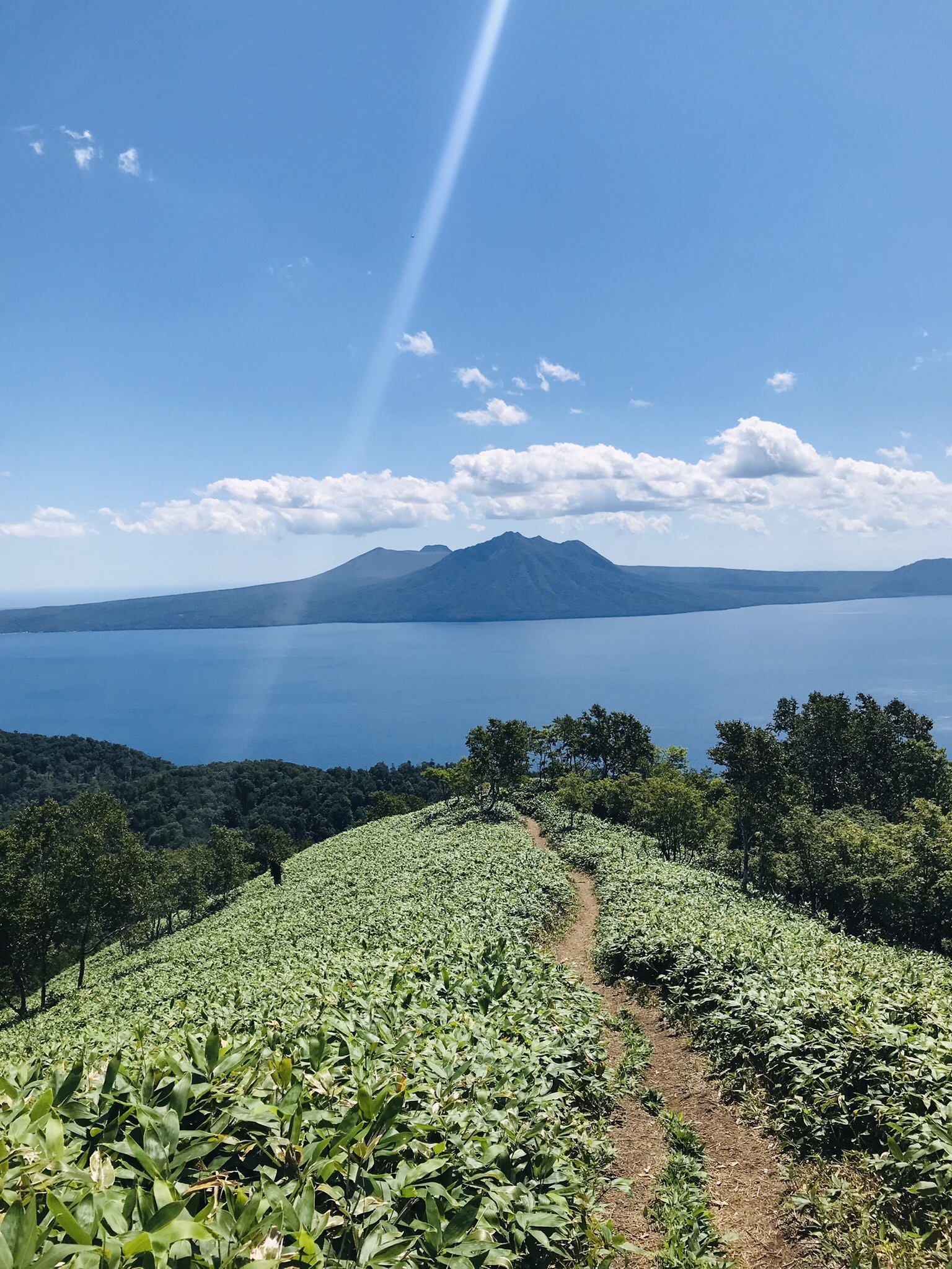 はじめましてのイチャンコッペ山 Pakuさんのイチャンコッペ山の活動データ Yamap ヤマップ