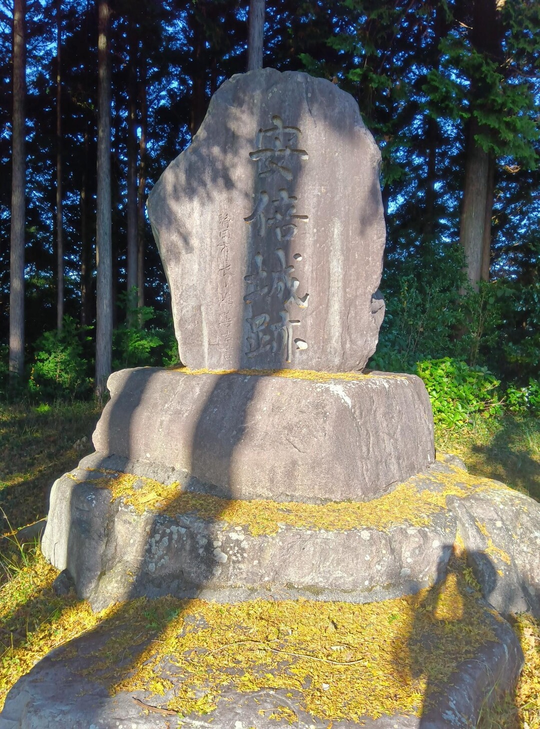 安倍城址・杉ノ沢山 / sky highさんの突先山・高山（牛ヶ峰）・大棚山の活動データ YAMAP / ヤマップ