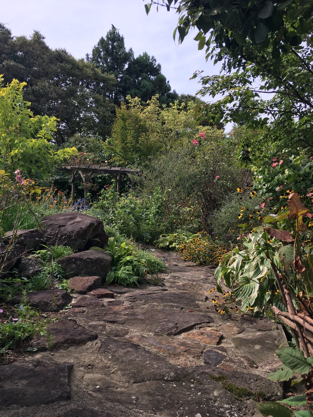 ガーデン カフェtimeと中島台 獅子ヶ鼻湿原 シードさんのウォーキングの活動日記 Yamap ヤマップ