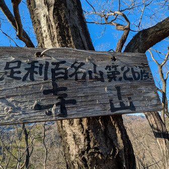両崖山・仙人ヶ岳・石尊山 足百No26⛰️寺山
山王山を下山した途端にルートミス
ここからは難関グレーゾーンの意識が高まり思わず難しそうな道に入り---
３コマ戻る😨

よく見るとピンテくっきりラク道でした
稜線を意識して登ればなんてことない