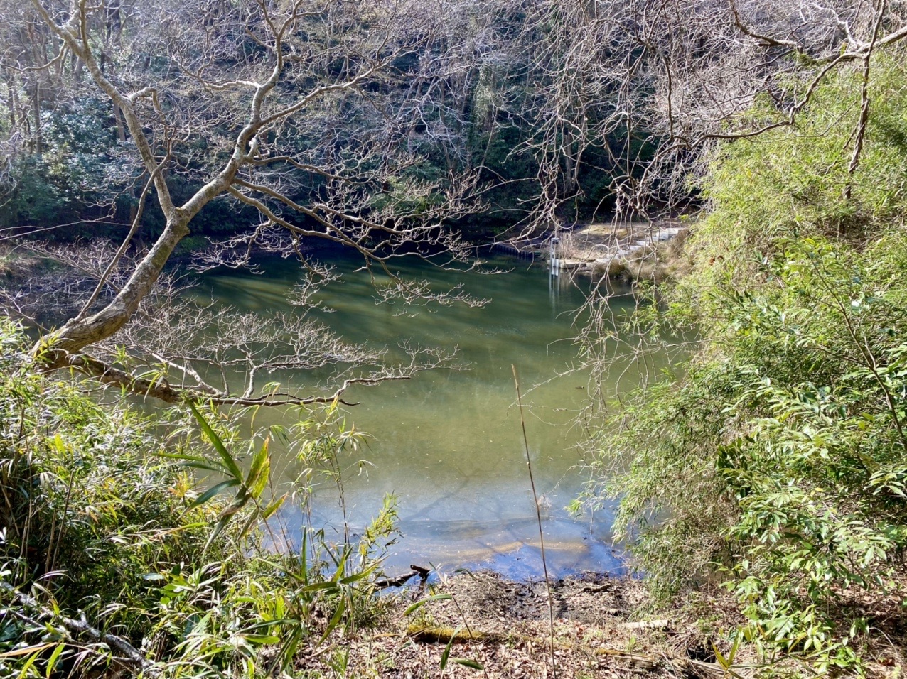 真作/狩野常信/瀑布図/布袋屋掛軸HG-618