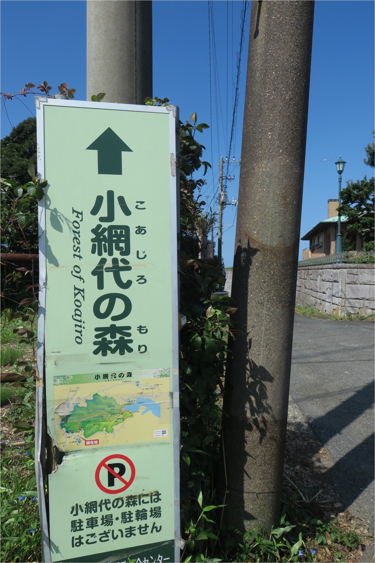 小網代の森 黒崎の鼻 かずさんの三浦市の活動日記 Yamap ヤマップ