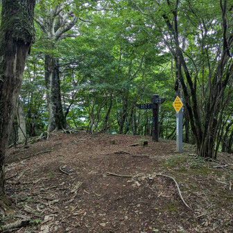 白くらの頭。今日はここで折返し。不老山まで行けないことも無いが、山ヒル多いようなので✕。
