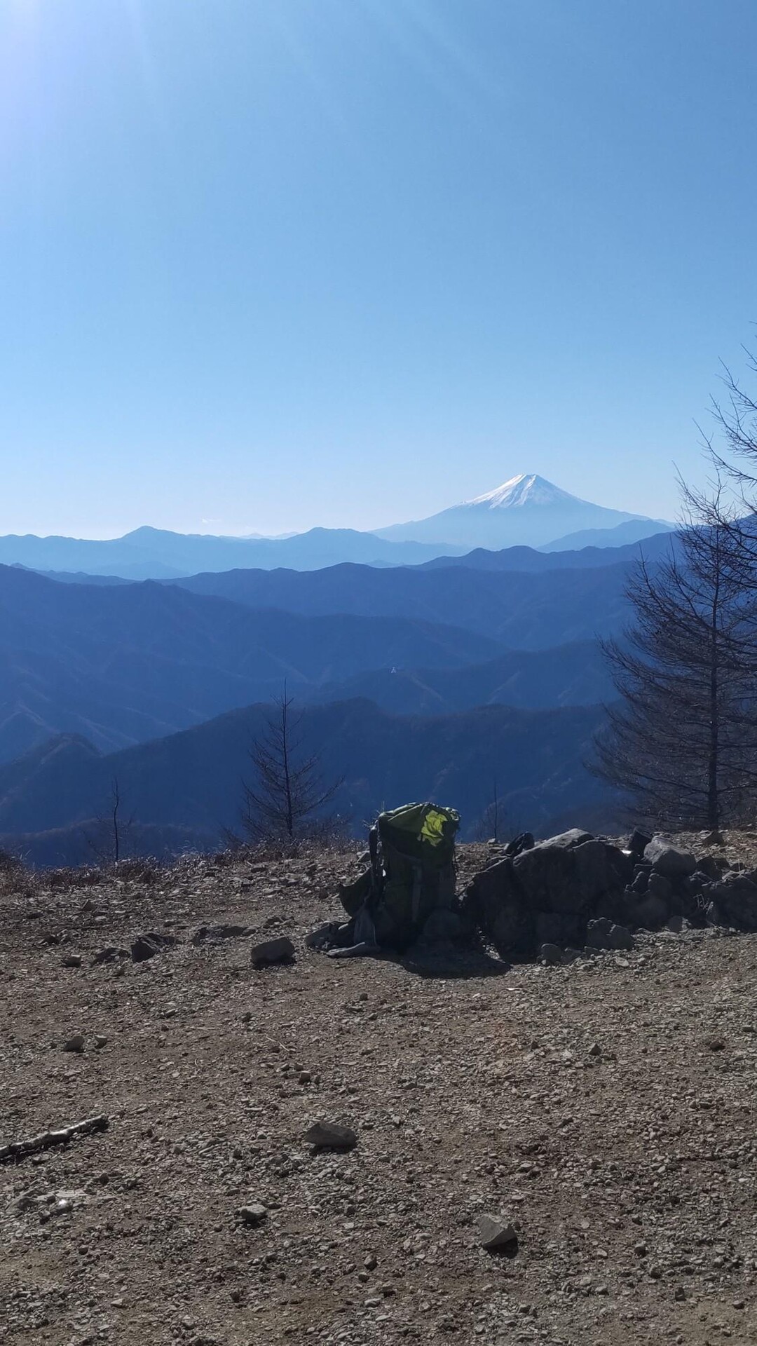 奥多摩の絶景登山スポット【鷹ノ巣山】2024年12月 | 東京砂漠