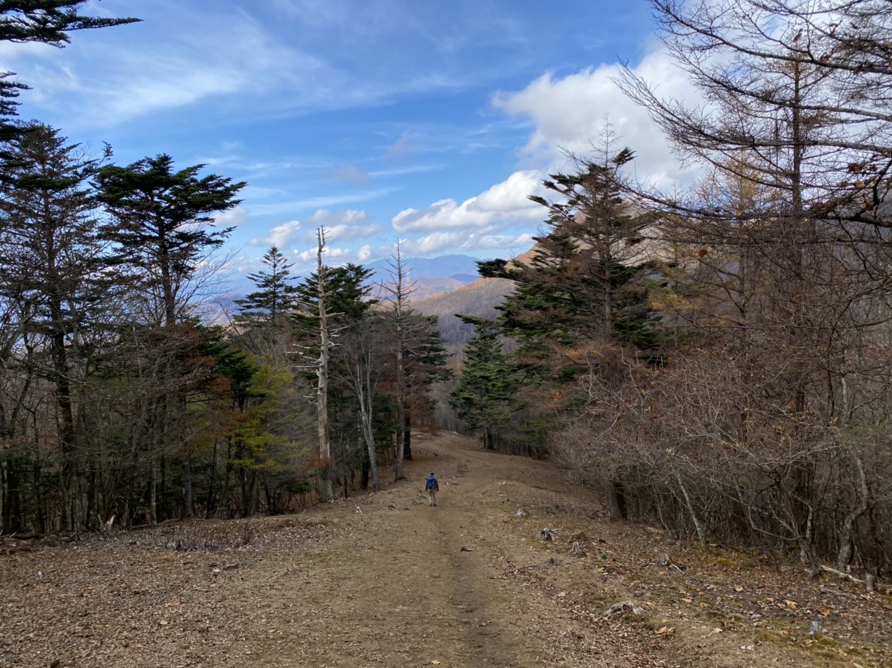 初狩駅 滝子山 やまと天目山温泉 でねさんの滝子山 大谷ヶ丸 笹子雁ヶ腹摺山の活動データ Yamap ヤマップ