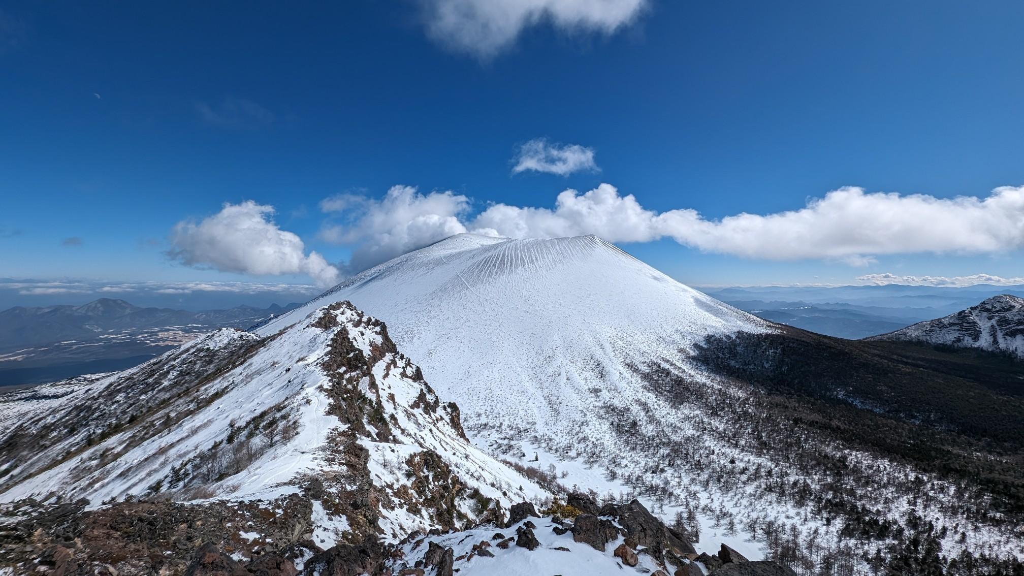 駒ヶ岳3本 浅葱斑1本 駒ヶ岳 3本 浅葱斑 1本 89A024A6-1AA9-490F-B47B-