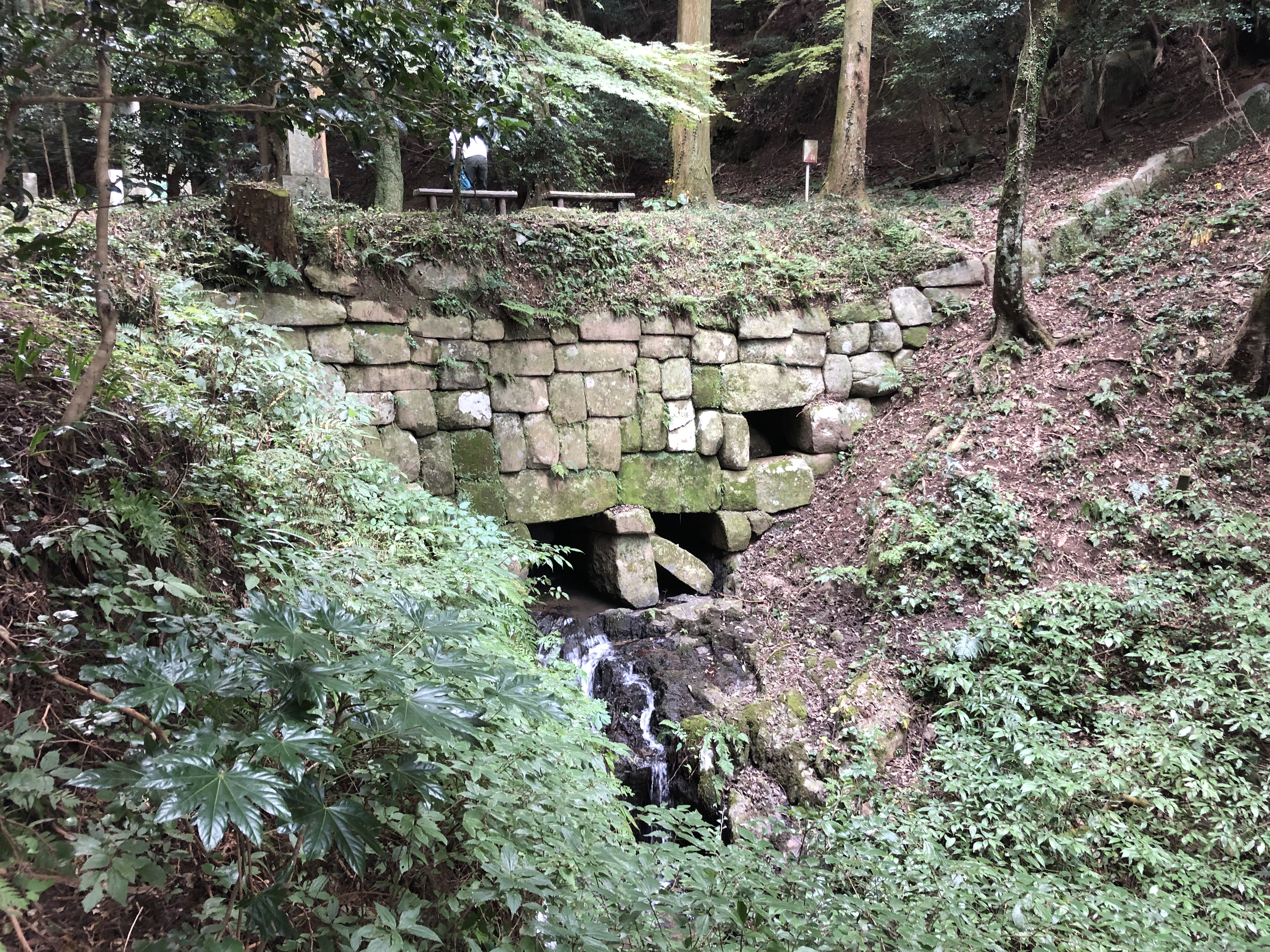 198 雷山神籠石へ 筑前前原sta 雷山神籠石 うぉーきんぐさんの糸島三都110キロウォークの活動データ Yamap ヤマップ