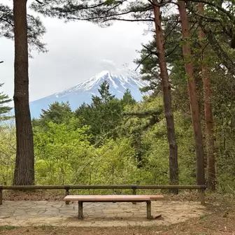 富士山ベンチあり。
ちょっとだけ休憩して降ります。