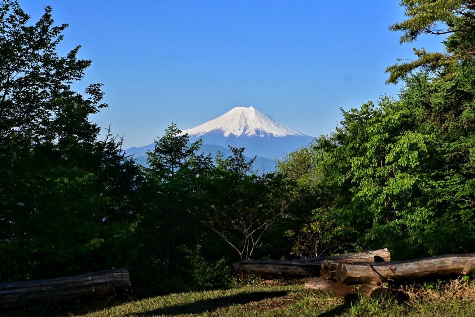 扇山・権現山 / そうはさんの百蔵山・扇山・権現山の活動データ | YAMAP / ヤマップ