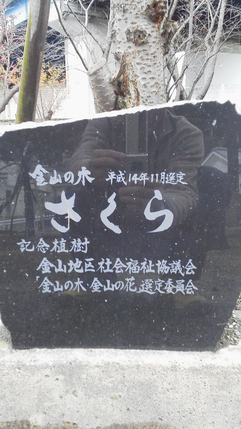 雨上がりの散歩 からちゃんさんの坂出市の活動日記 Yamap ヤマップ