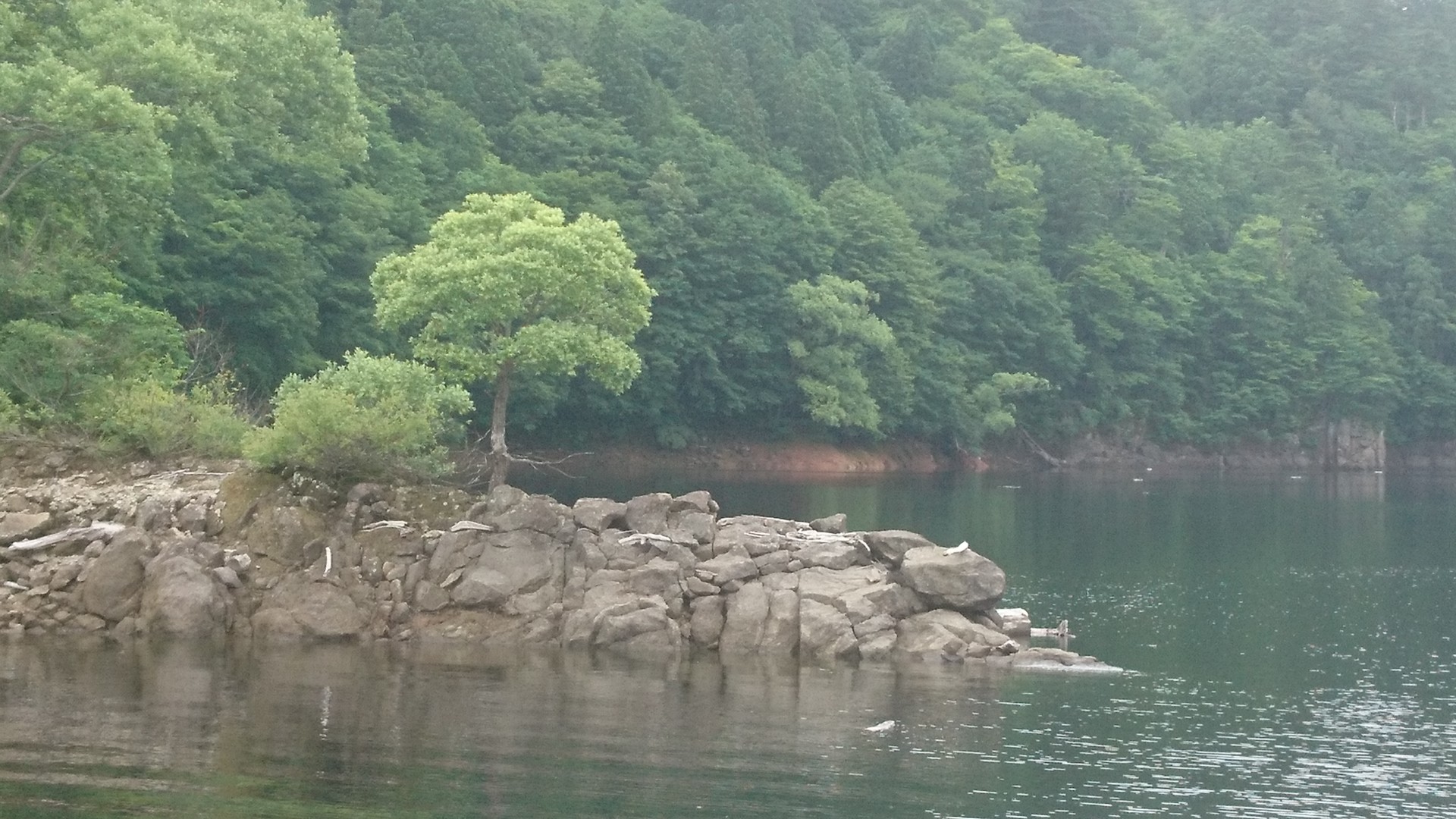 森吉 太平湖遊覧船 しんちゃんさんのウォーキングの活動データ Yamap ヤマップ