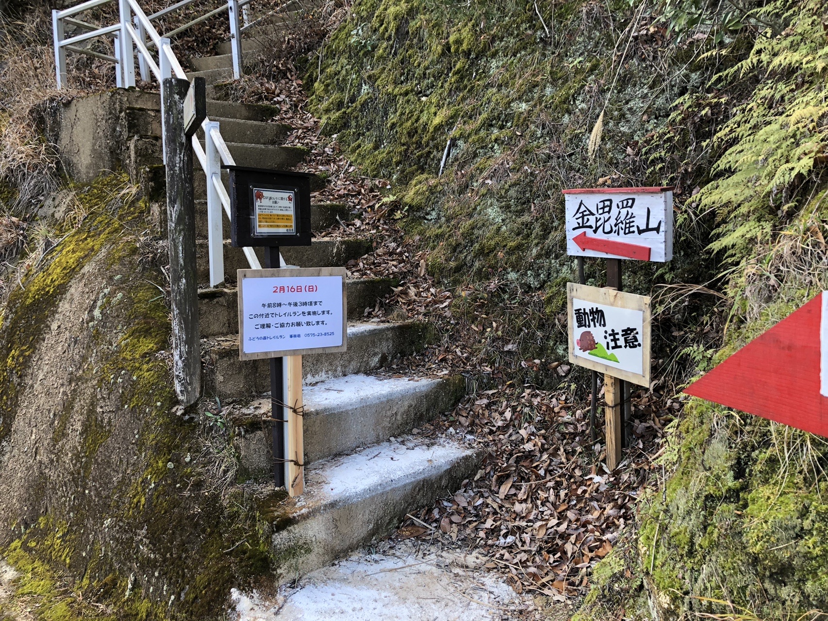 各務原アルプス 八木三山 01 16 たけのこ Zi Ziさんの各務原アルプス 八木三山の活動日記 Yamap ヤマップ