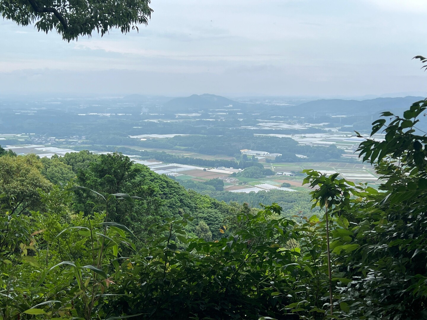 米野山 / ヤマリクさんの米野山の活動データ YAMAP / ヤマップ