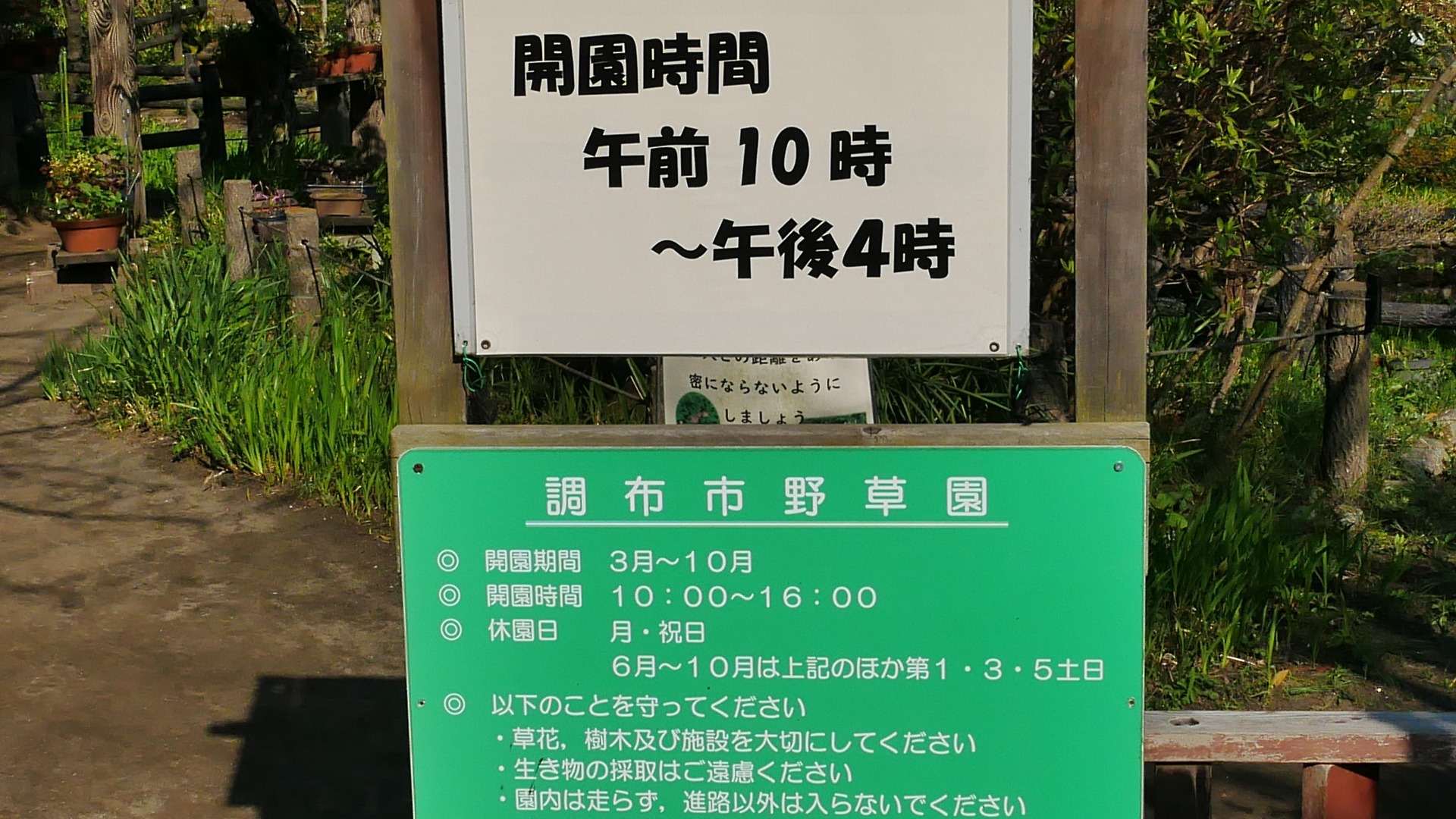 植物多様性センター 神代植物公園 水生植物園 調布市野草園 れおまるさんの三鷹市の活動データ Yamap ヤマップ