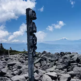 富士山を背景に！素敵〜