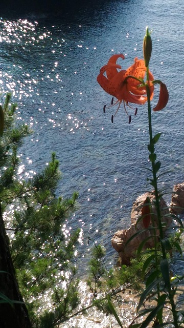 浦富海岸 と秘境の滝 猿壺の滝 を訪ねて 野うさぎ銀次郎さんの鳥取市の活動日記 Yamap ヤマップ