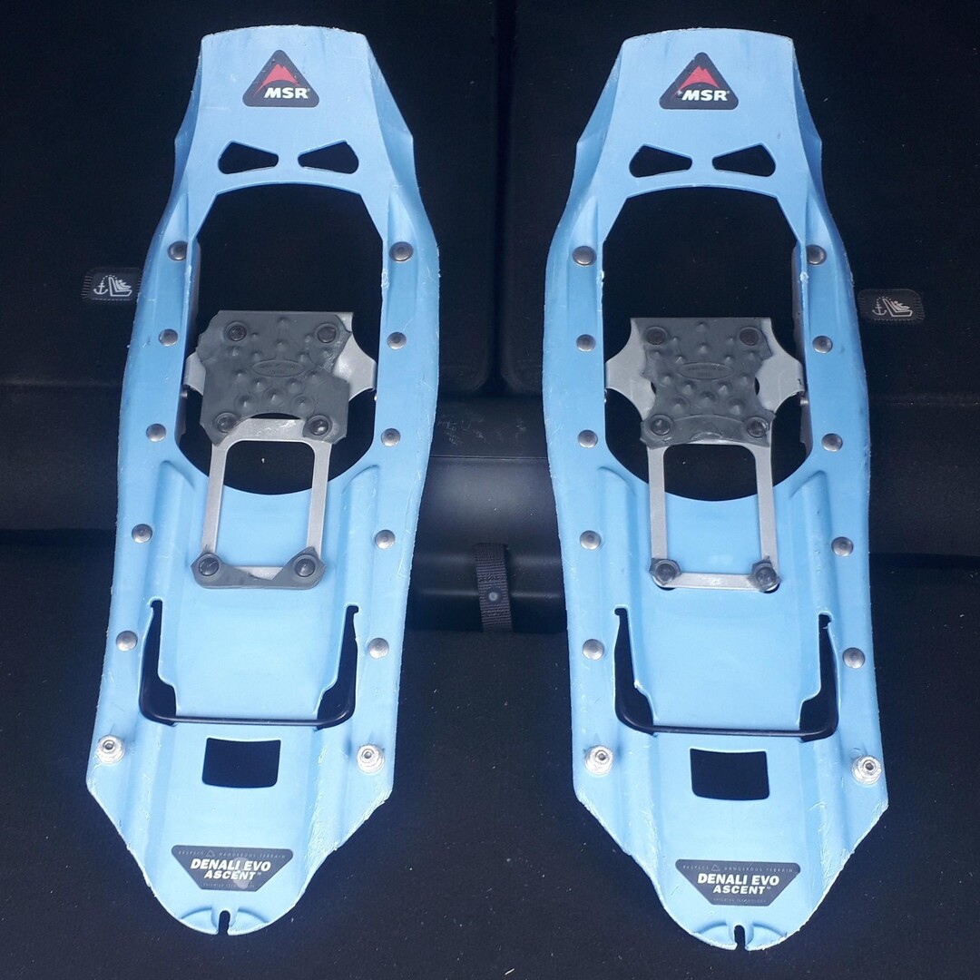 DENALI ASCENT MSR デナリ アセント