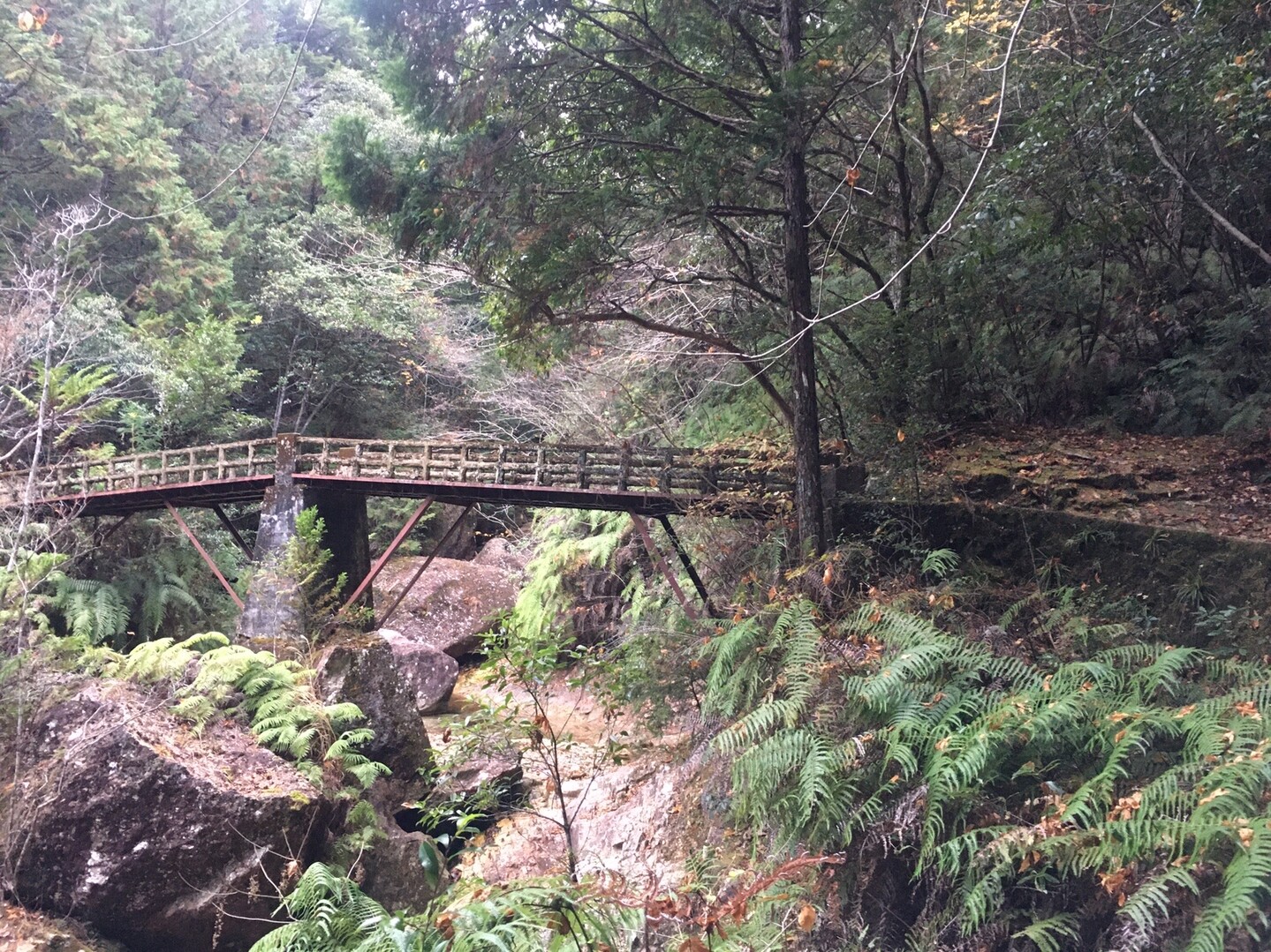明神山 バーグルさんの明神山 三ツ瀬明神山 の活動データ Yamap ヤマップ
