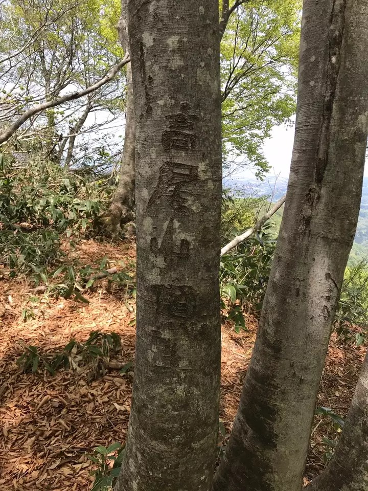 高尾山 石川県 の最新登山情報 人気の登山ルート 写真 天気など Yamap ヤマップ