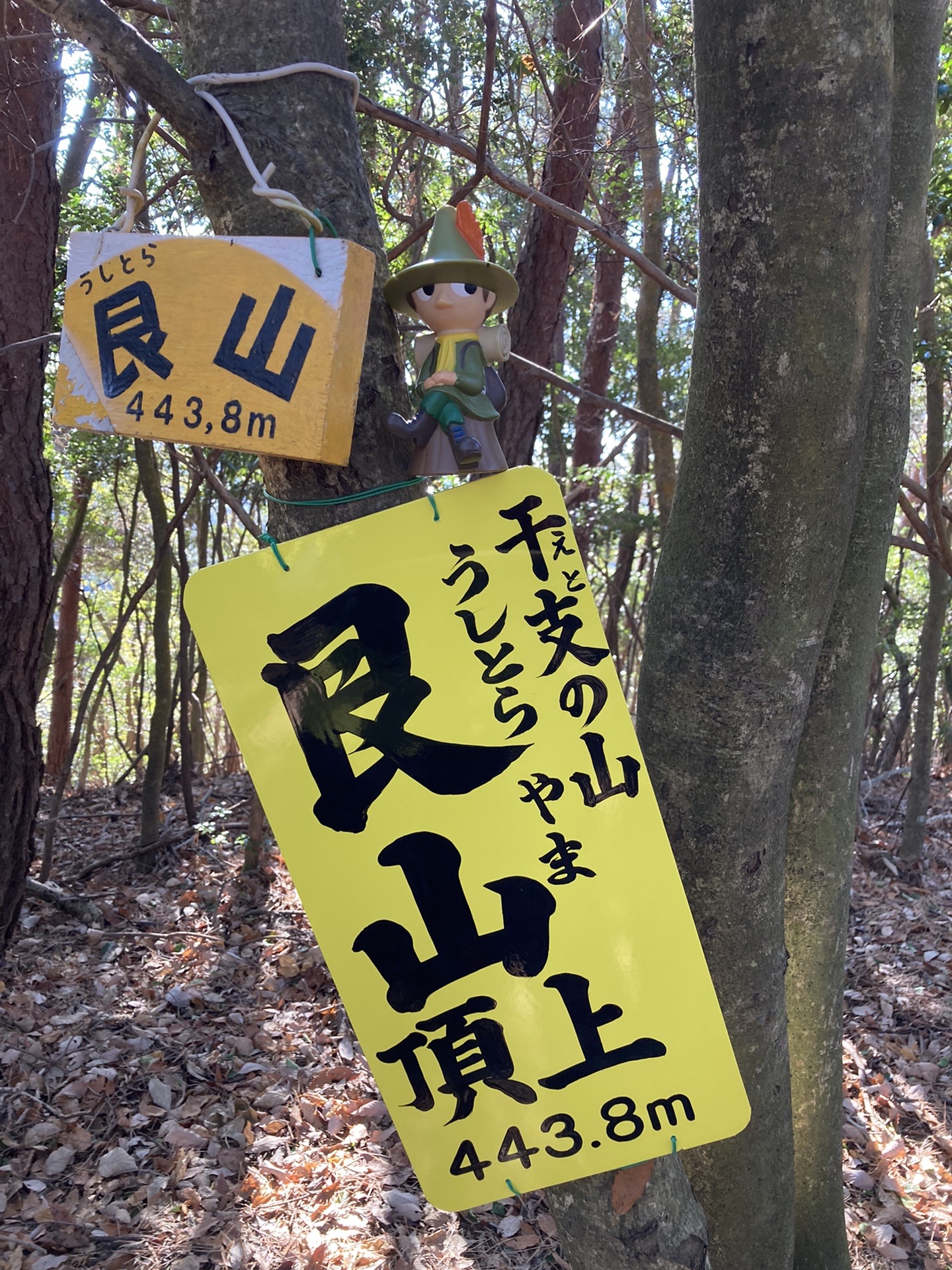 艮山の最新登山情報 / 人気の登山ルート、写真、天気など