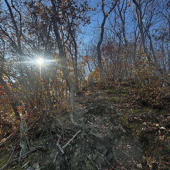 山頂手前って
体力回復する