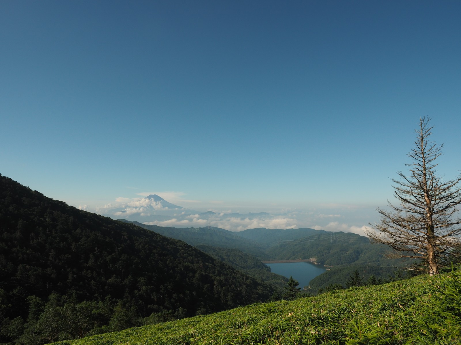 富士山も見えて いい景色を堪能できました 大菩薩嶺 こやぞうさんの大菩薩嶺 鶏冠山 大マテイ山の活動データ Yamap ヤマップ