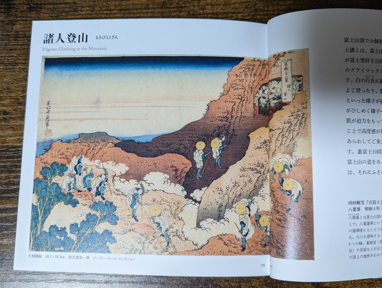 すみだ北斎美術館を見に行って富嶽三十六景 Tngさんのモーメント Yamap ヤマップ