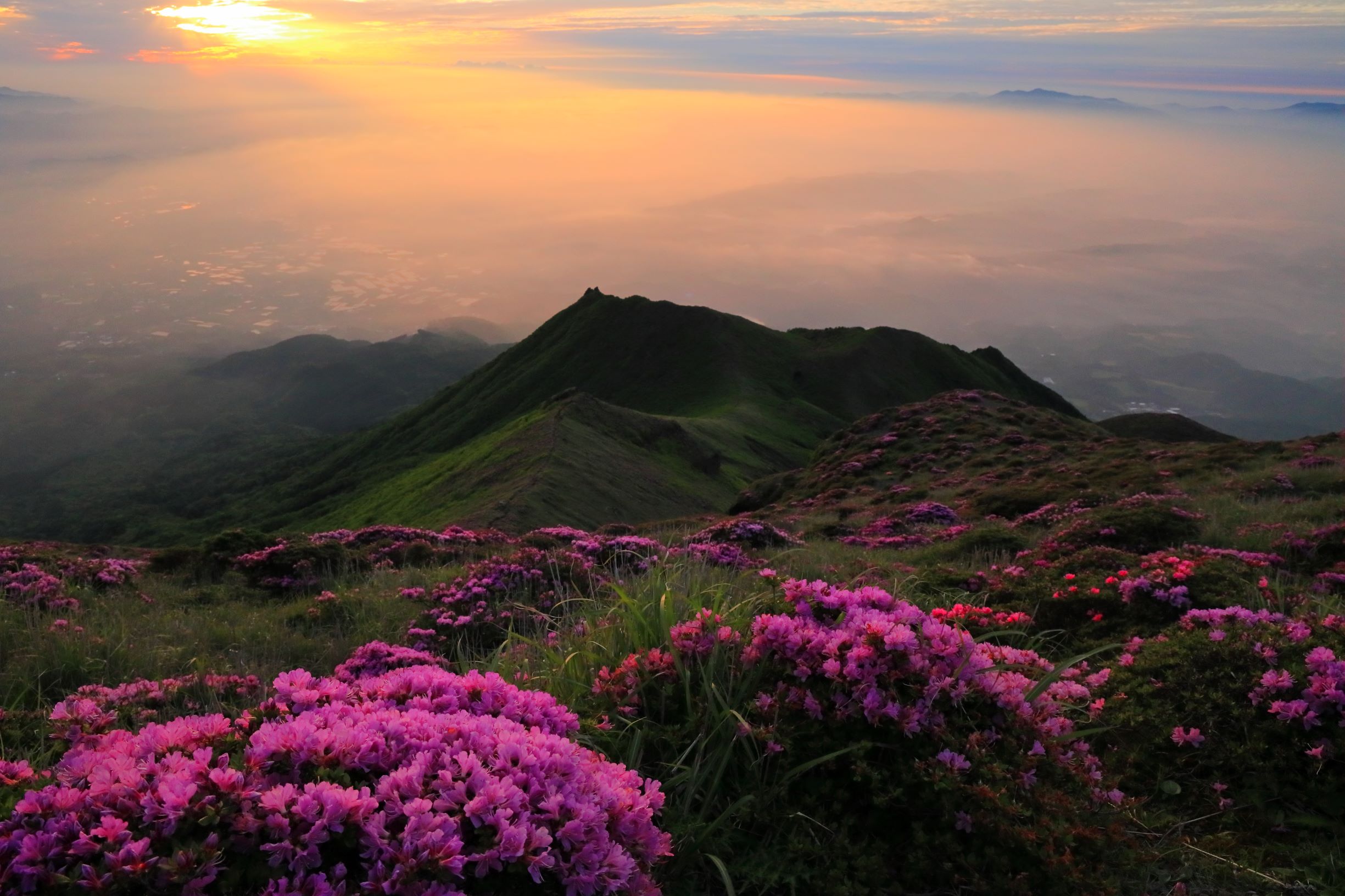 ミヤマキリシマ満開の御鉢 高千穂峰 霧島山 と大浪池 しゅんさんの霧島山 韓国岳 高千穂峰 夷守岳 烏帽子岳の活動データ Yamap ヤマップ