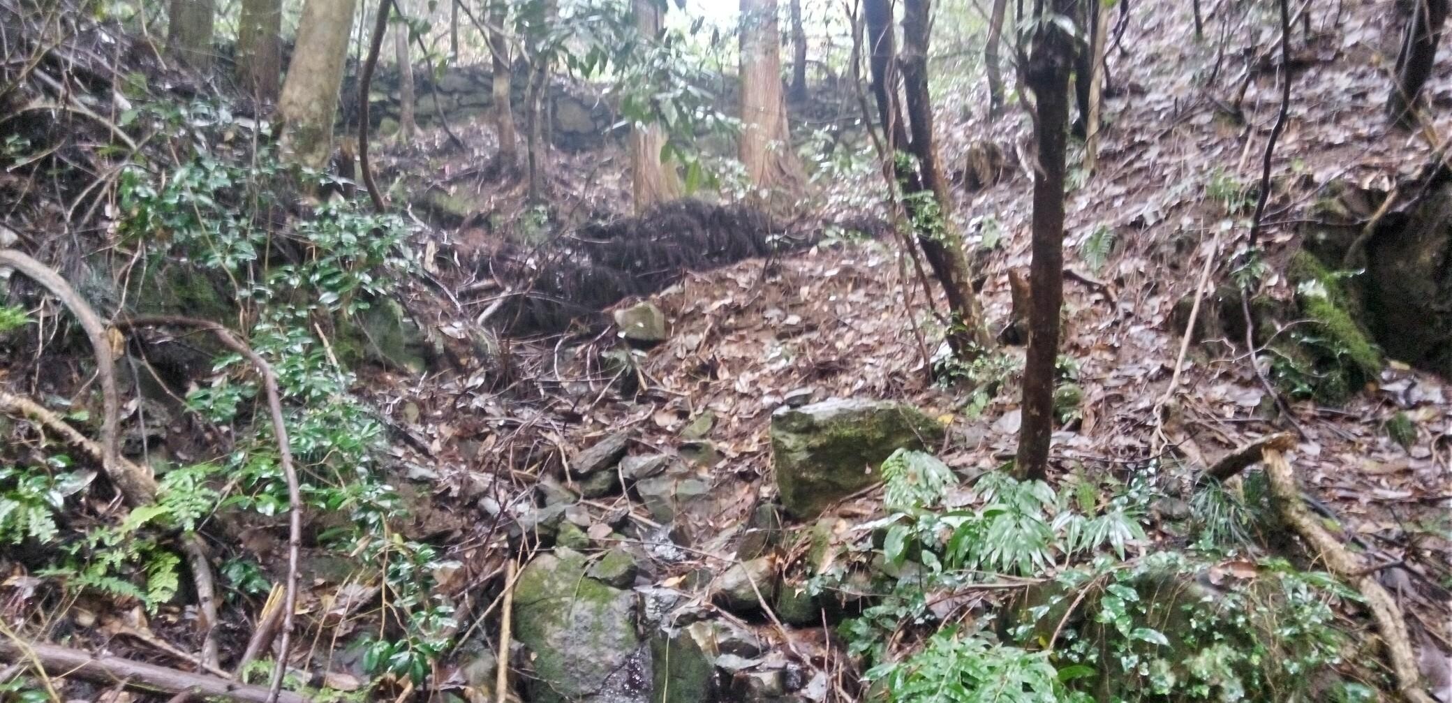 駒返りトンネル 20231225 / 京羅木山・星上山の写真3枚目 YAMAP / ヤマップ