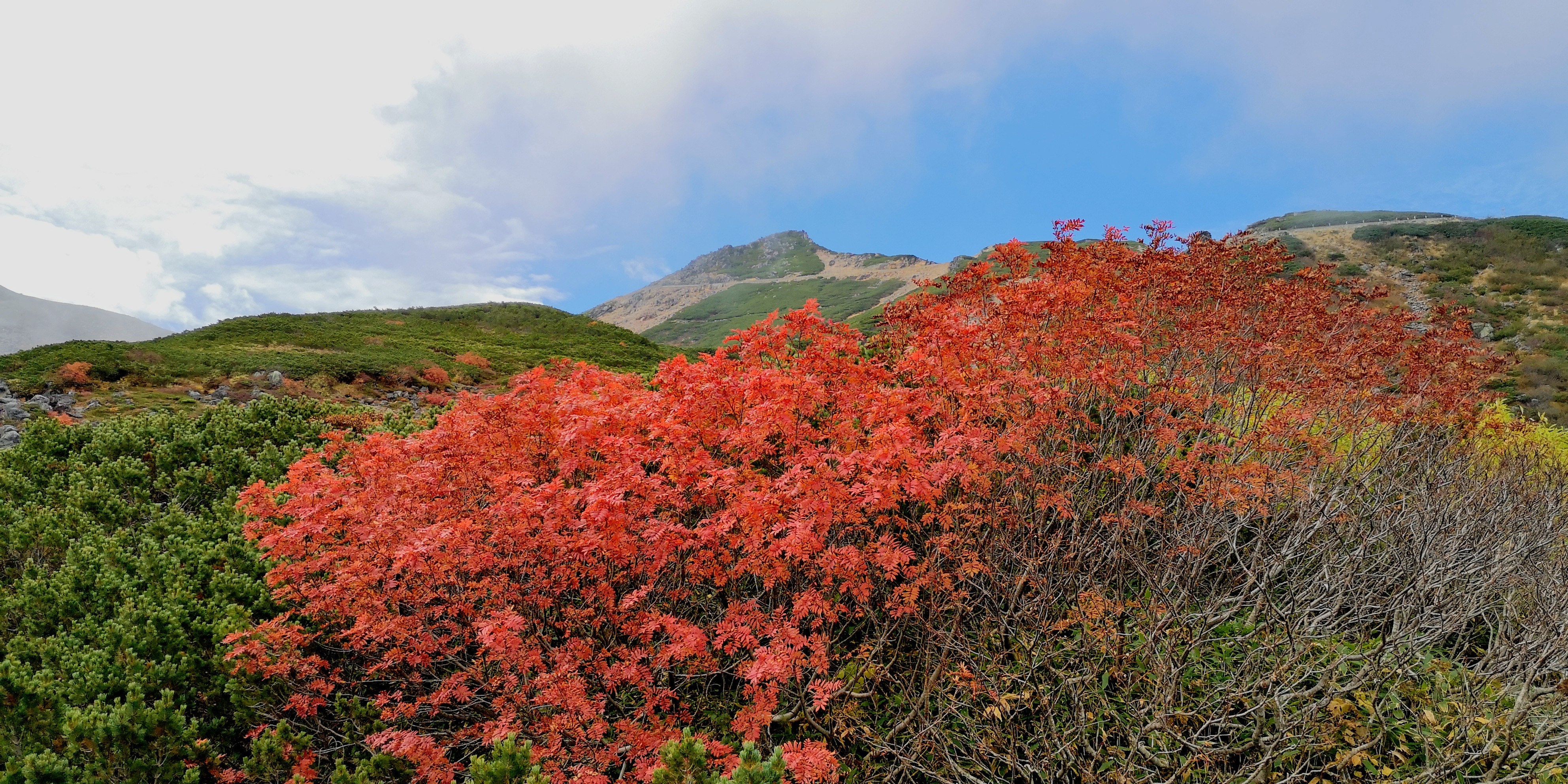 乗鞍岳 紅葉 ギリギリセーフ Keisさんの乗鞍岳の活動データ Yamap ヤマップ