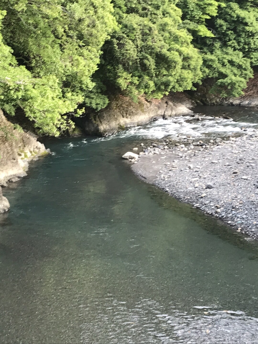 藁科川を清沢まで パタヤンさんの賤機山の活動日記 Yamap ヤマップ
