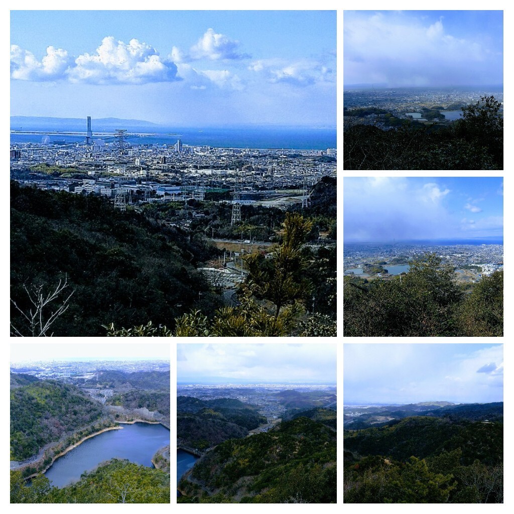 大阪50山 雨山 さとぽんさんの雨山の活動日記 Yamap ヤマップ