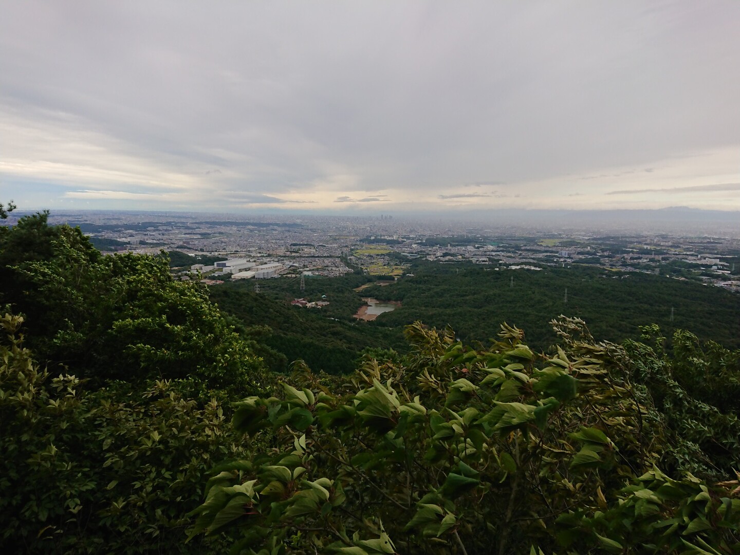 久しぶりの弥勒山 / Dさんの春日井三山・弥勒山・大谷山・道樹山の活動データ YAMAP / ヤマップ