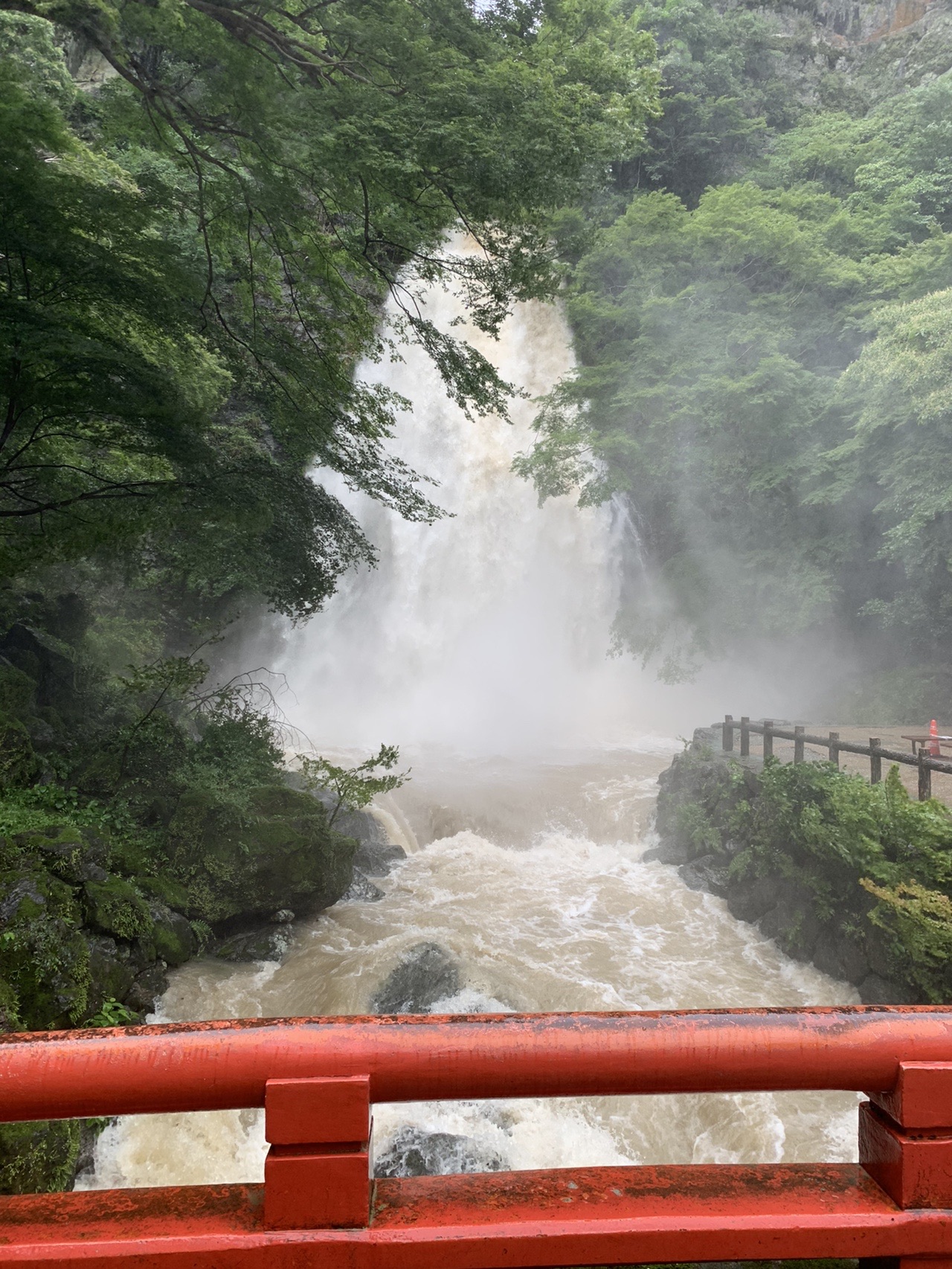 大雨後の 箕面の滝 Tsucyanさんの六個山 鉢伏山 明ヶ田尾山 五月山の活動日記 Yamap ヤマップ