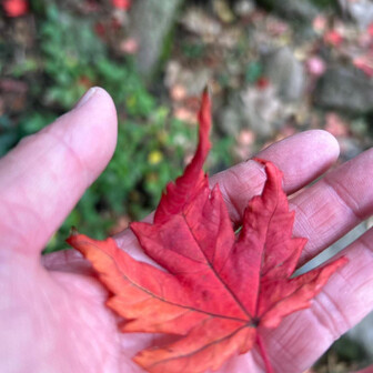 よっちゃん★♪