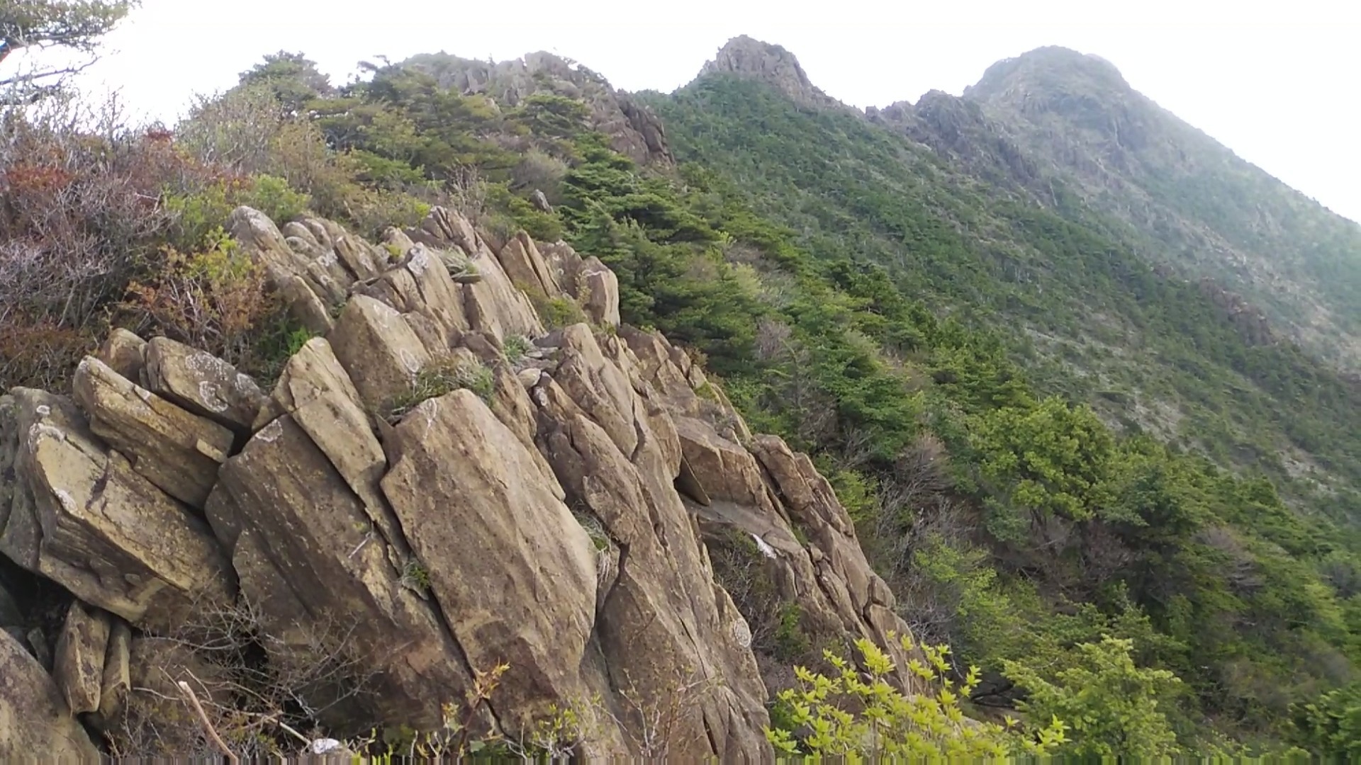 八巻山 東赤石山 権現越 めいさんの東光森山 野地峰 黒岩山の活動日記 Yamap ヤマップ