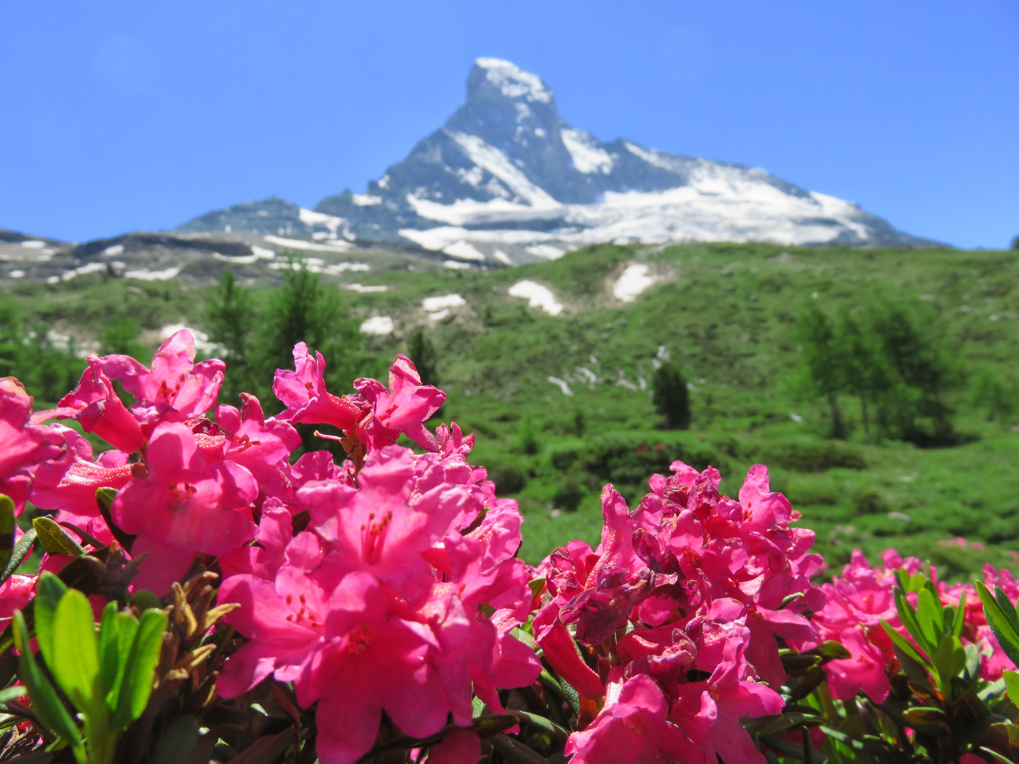 スイス山旅３日目 シュヴァルツゼー ツムット ツェルマット Yukaさんのザースフェーの活動データ Yamap ヤマップ