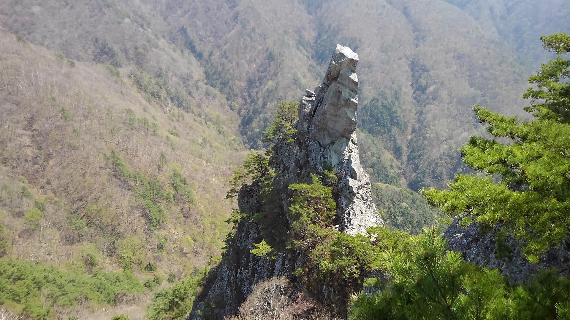 戸谷峰 三才山 烏帽子岩 春の花を探して まっとさんの三才山 戸谷峰の活動データ Yamap ヤマップ