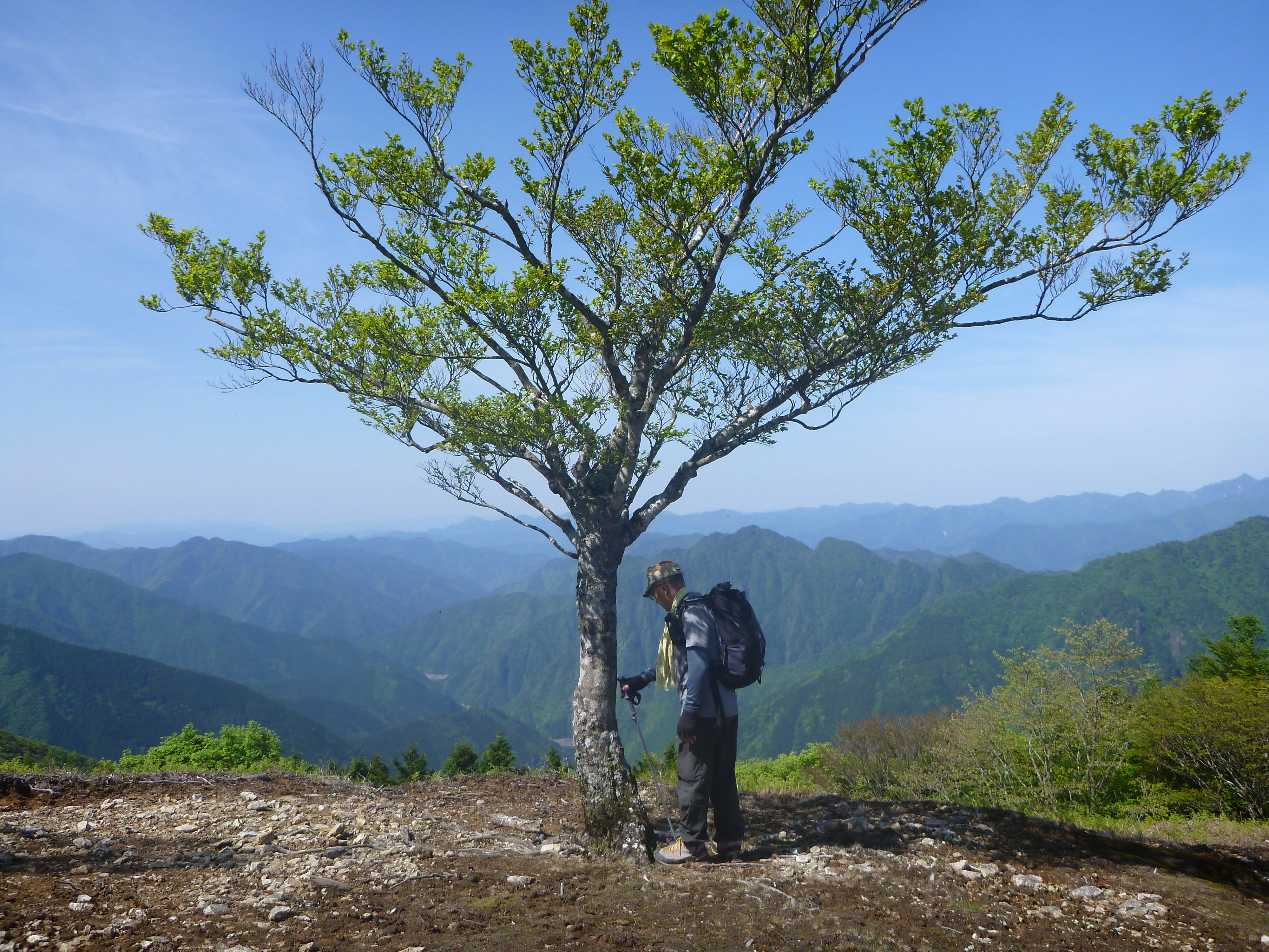 尾鷲道 大台ケ原から地蔵峠 Yamamurasakiさんの大台ヶ原山 日出ヶ岳 大杉谷の活動データ Yamap ヤマップ