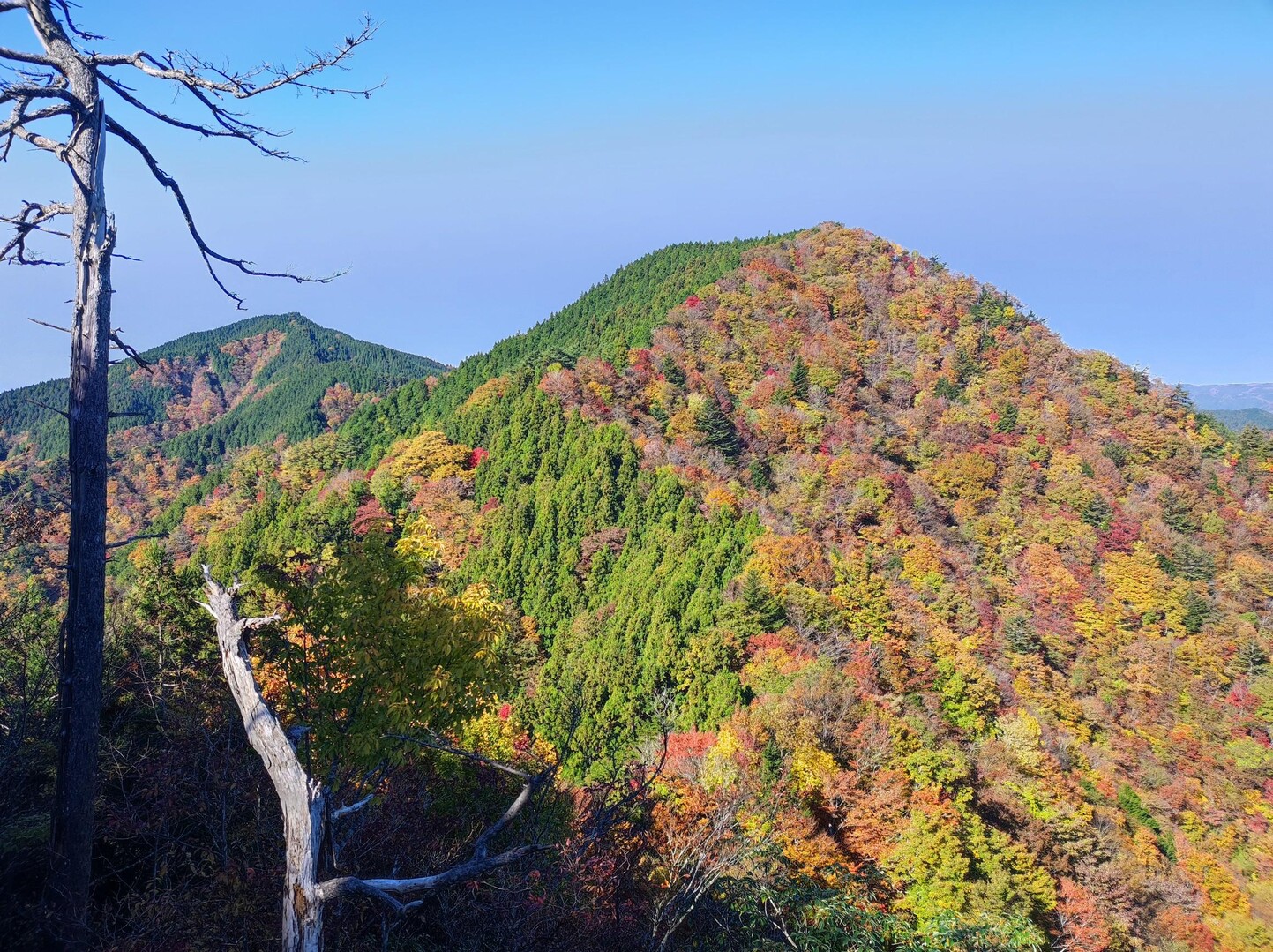 【愛知130山】日本ヶ塚山 (バンガロー村古里とみやま駐車場から) / nostalgicsさんの日本ヶ塚山の活動データ | YAMAP / ヤマップ