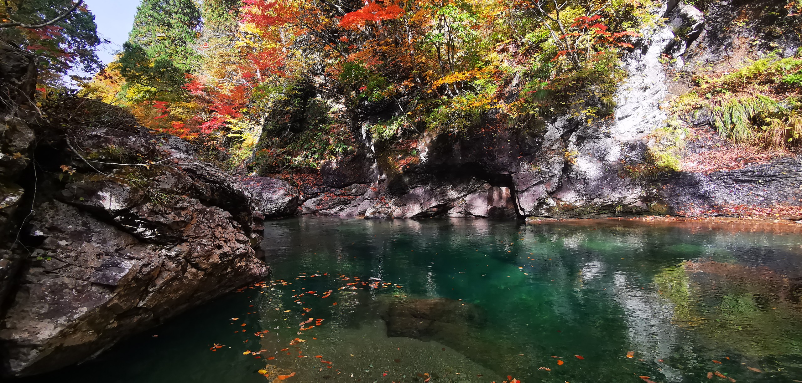 葛根田川 大石沢 滝ノ上温泉から 雪華さんの乳頭山 湯森山 大白森の活動データ Yamap ヤマップ