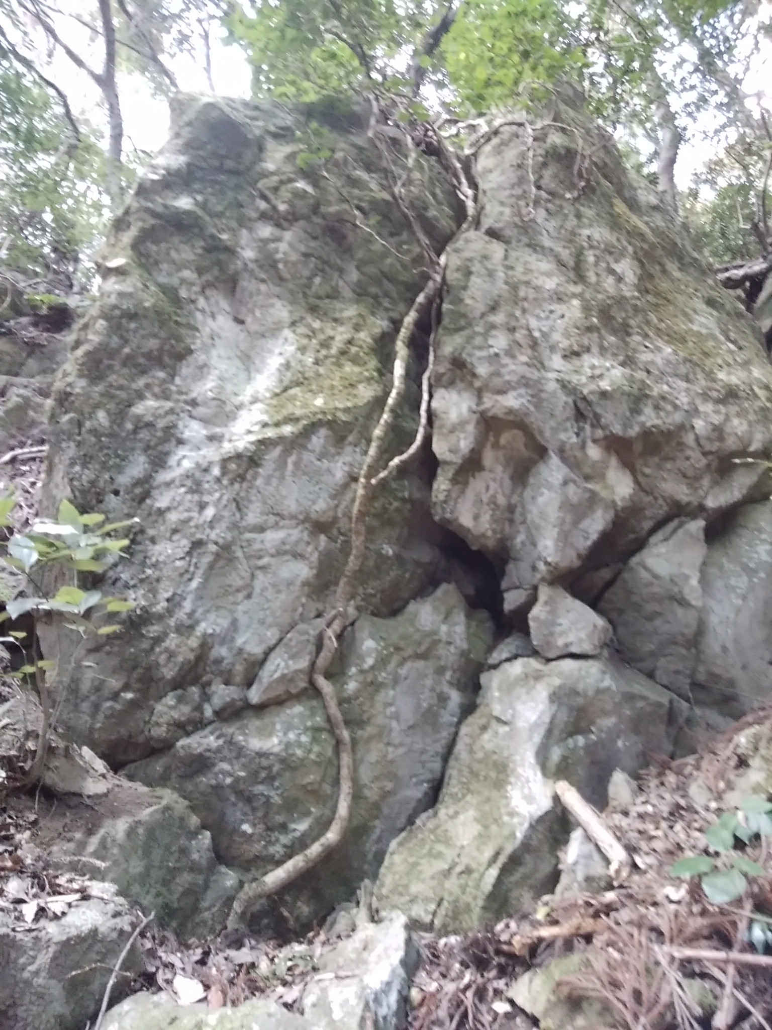 かがち山323mと秘境 朝村神社跡の夫婦岩2岩と首岩 03 02 さんちょｔｂさんの鼻高山 弥山 旅伏山の活動データ Yamap ヤマップ